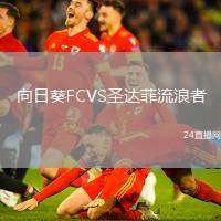 向日葵FCVS圣達(dá)菲流浪者
