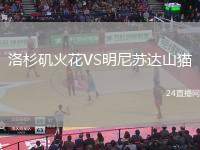 洛杉磯火花VS明尼蘇達山貓