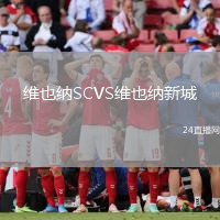維也納SCVS維也納新城