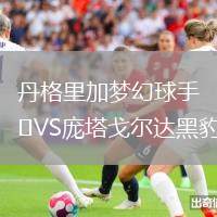 丹格里加夢幻球手VS龐塔戈爾達(dá)黑豹
