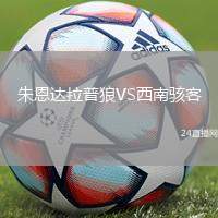 朱恩達(dá)拉普狼VS西南駭客