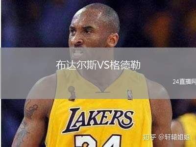 布達(dá)爾斯VS格德勒
