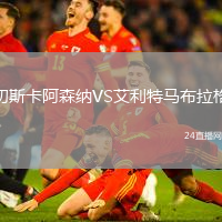 切斯卡阿森納VS艾利特馬布拉格