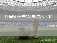 什魯斯伯里VS京達(dá)米士特