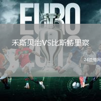 禾斯貝治VS比斯特里察