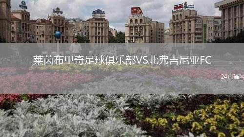 萊茵布里奇足球俱樂部VS北弗吉尼亞FC