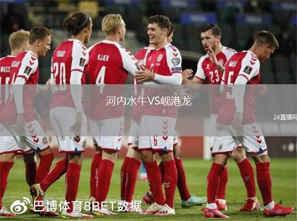 河內(nèi)水牛VS峴港龍