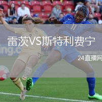 雷茨VS斯特利費寧