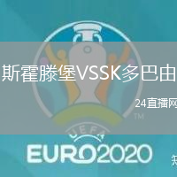 斯霍滕堡VSSK多巴由