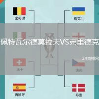 佩特瓦爾德莫拉夫VS弗里德克