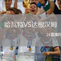 哈瓦特VS達(dá)根漢姆