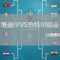維迪爾VS熱特爾胡金