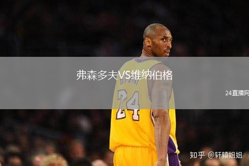 弗森多夫VS維納伯格
