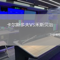 卡爾斯多夫VS禾斯貝治